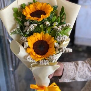 Karachi Sun Bloom