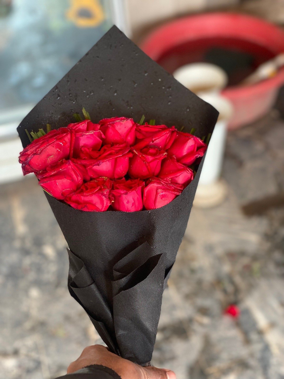 Pure Love Blooms